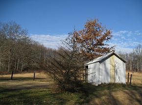 5th image of 6942 S Mountain Springs Dr