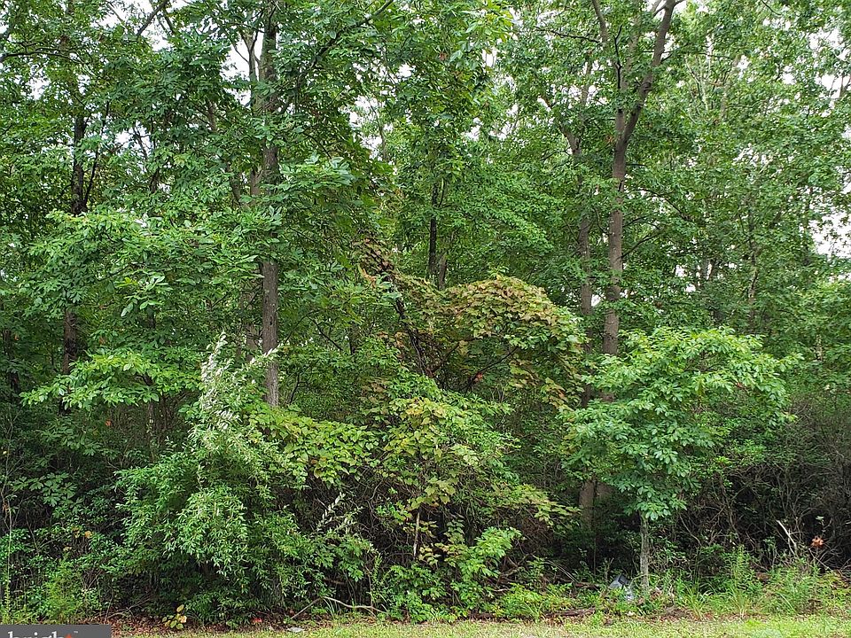 2nd image of 3477 Cedarville Rd