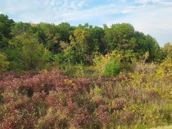 LOT 3 County Line Ave, Deer Park, WI 54007