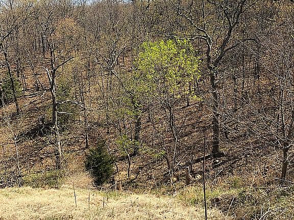 2nd image of 1721 N Old North Pl