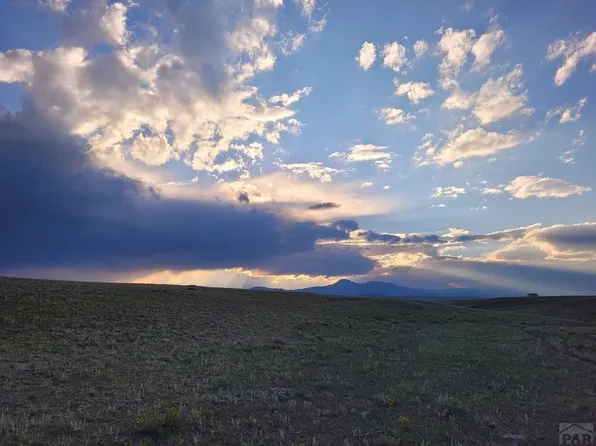 Atilla Rd, Hartsel, CO 80449