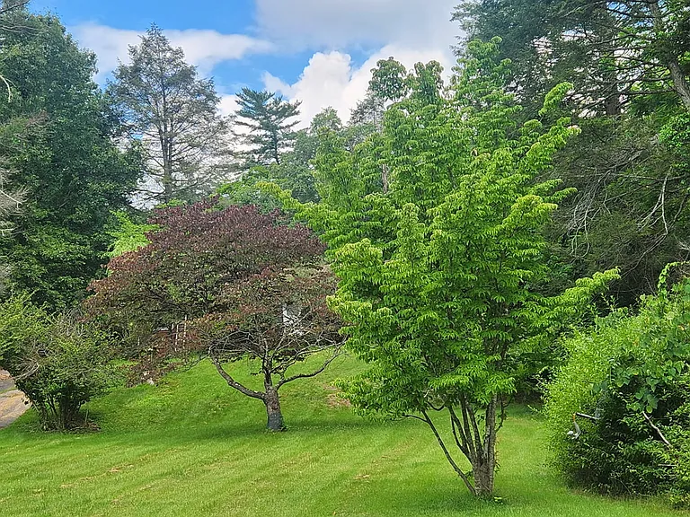 25885 Mountain Valley Rd — Photo 10
