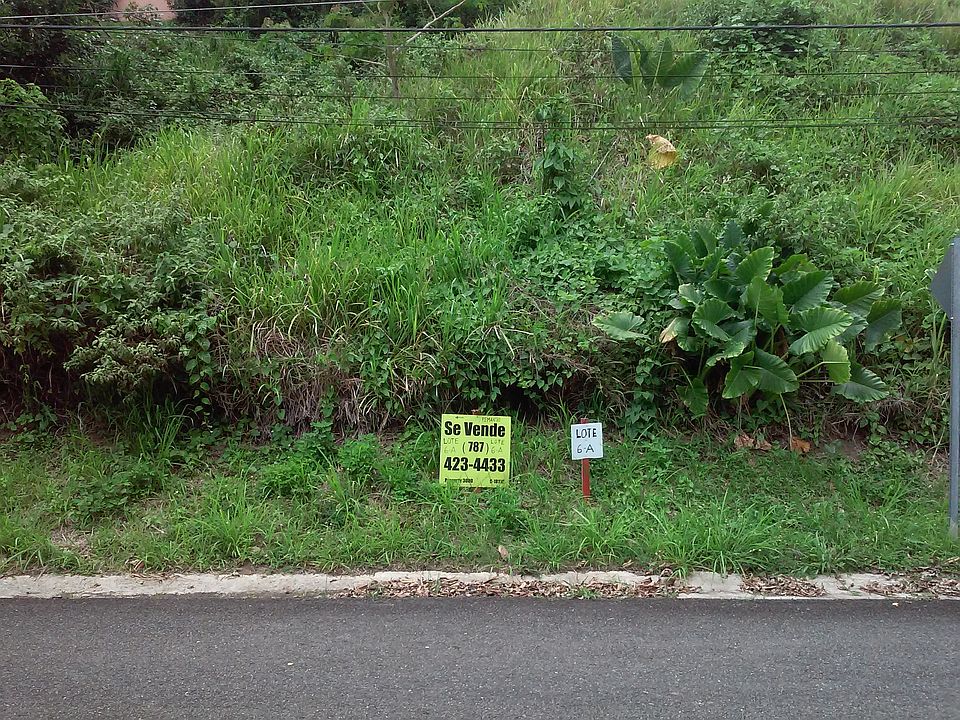 2nd image of Remanso Taino Pr 848 Km 2 Cacao Terreno