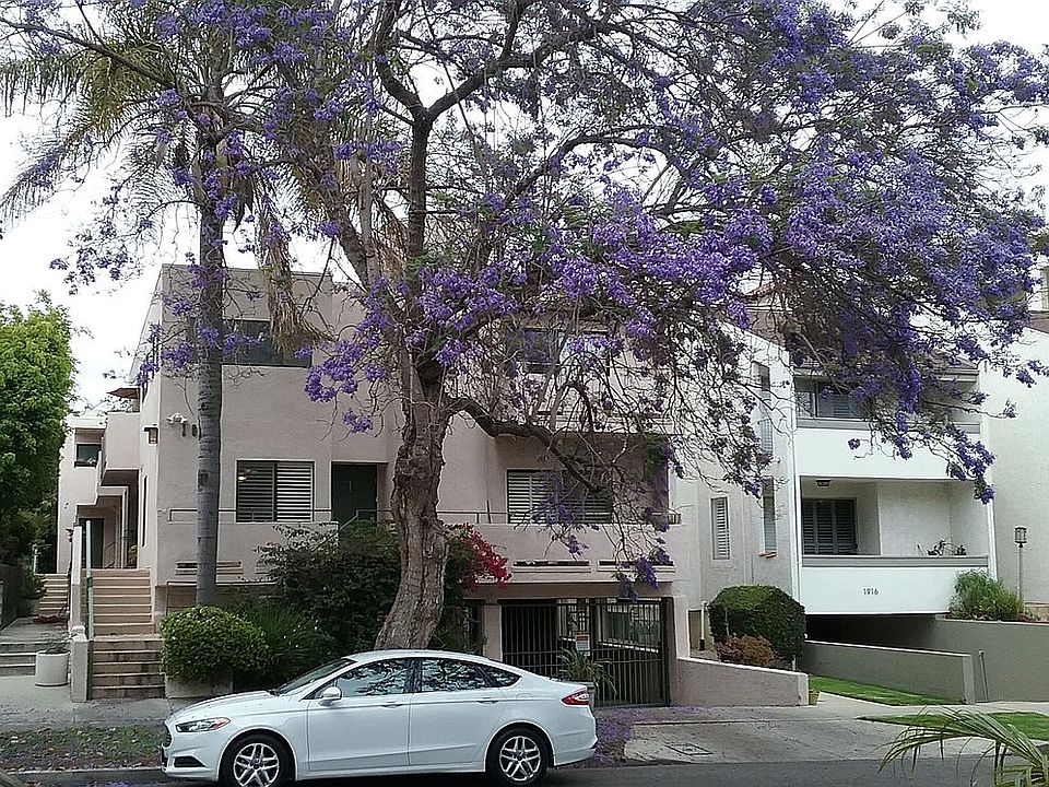 1st image of 1910 Pelham Ave Unit 7