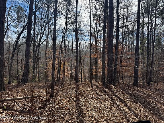 3rd image of 29 Fern Ridge Ln