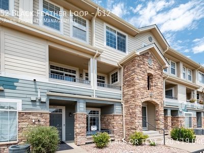 452 Black Feather Loop APT 612, Castle Rock, CO, 80104
