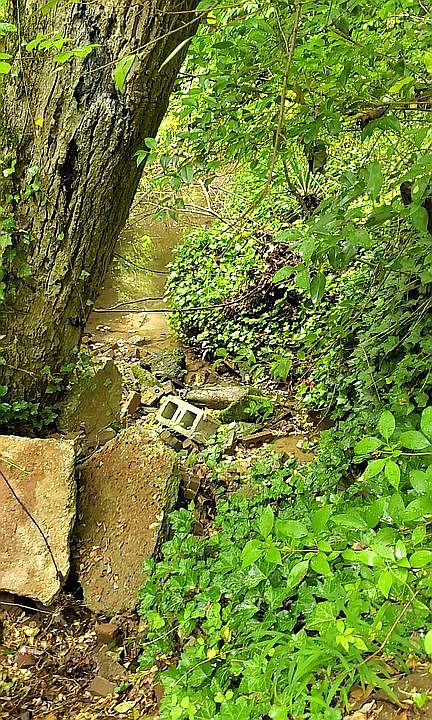 Part of Brook