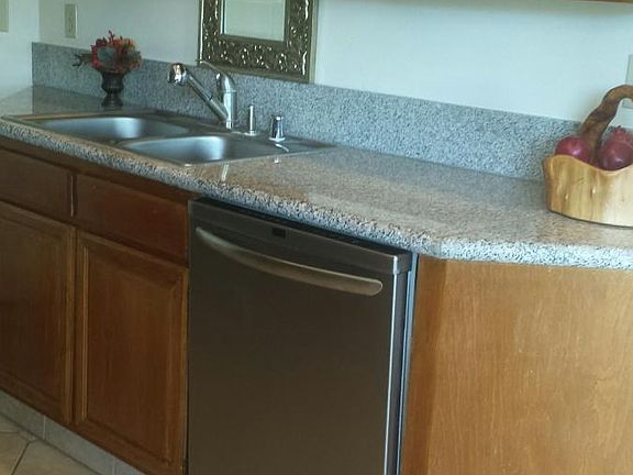 Kitchen sink area with SS dishwasher