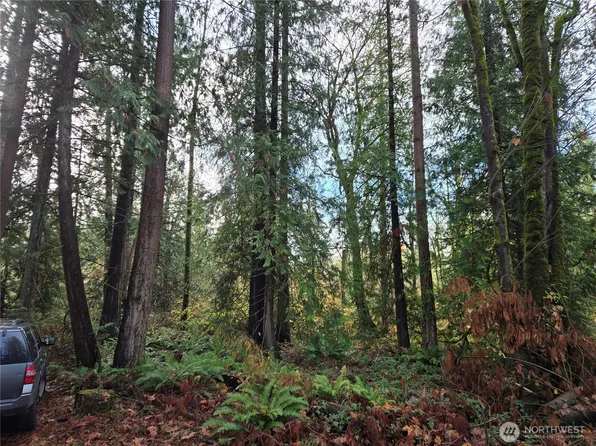 388 XX 191st Avenue SE, Auburn, WA 98092