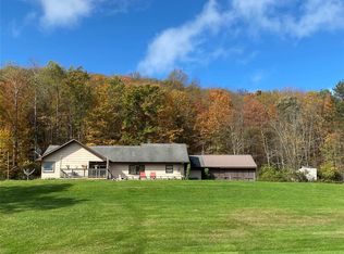 119 S Dry Brook Rd, Hancock, NY 13783