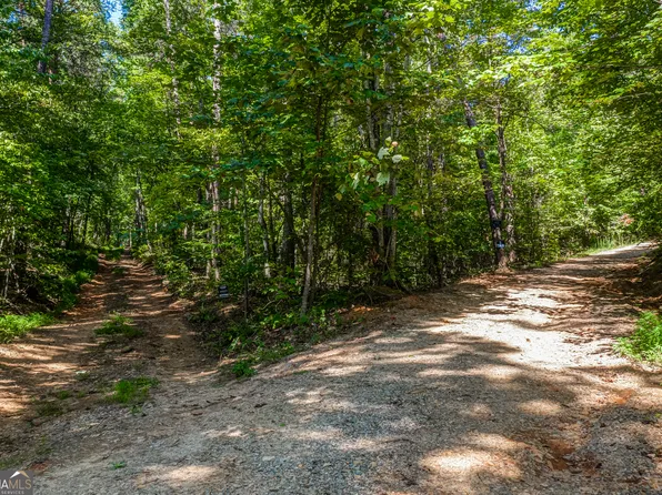 226 White Pen Rd, Talking Rock, GA 30175