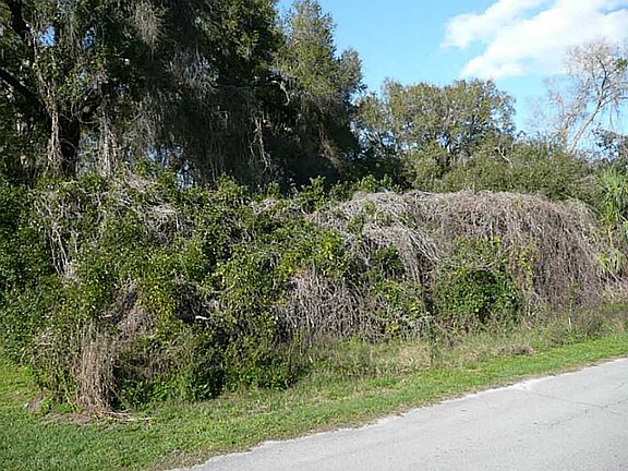 3rd image of E Graves Ave