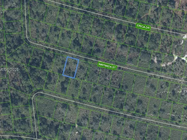 8725 Maynada St, Sebring, FL 33872