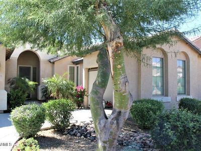 15113 W Minnezona Ave, Goodyear, AZ, 85395