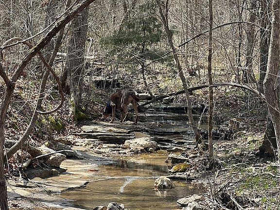 3rd image of 45 Oaks Landing Dr