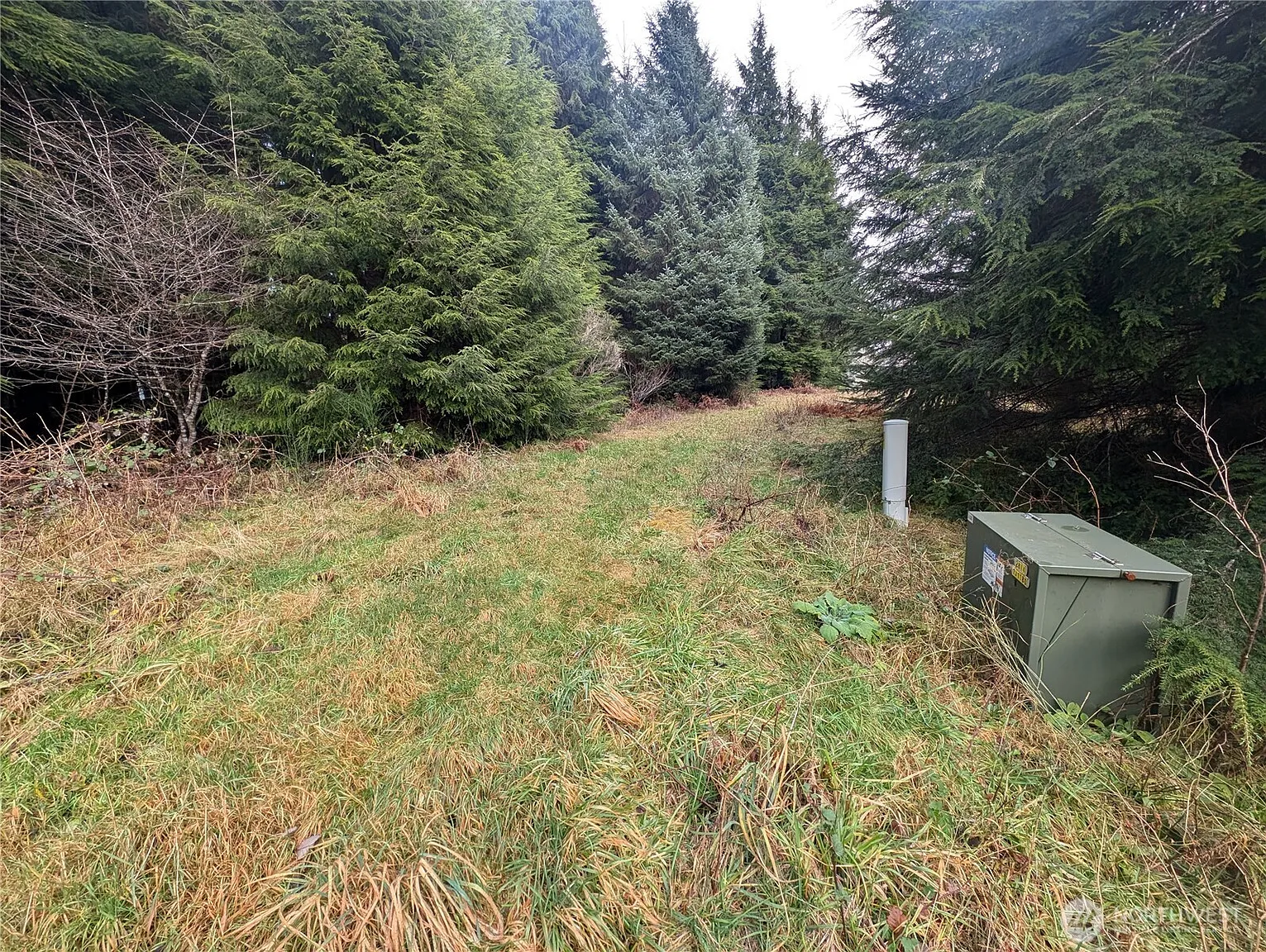999 Green Road photo 1