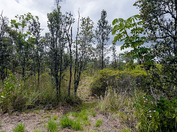 5th image of 15-1856 2nd Ave Lot 1443