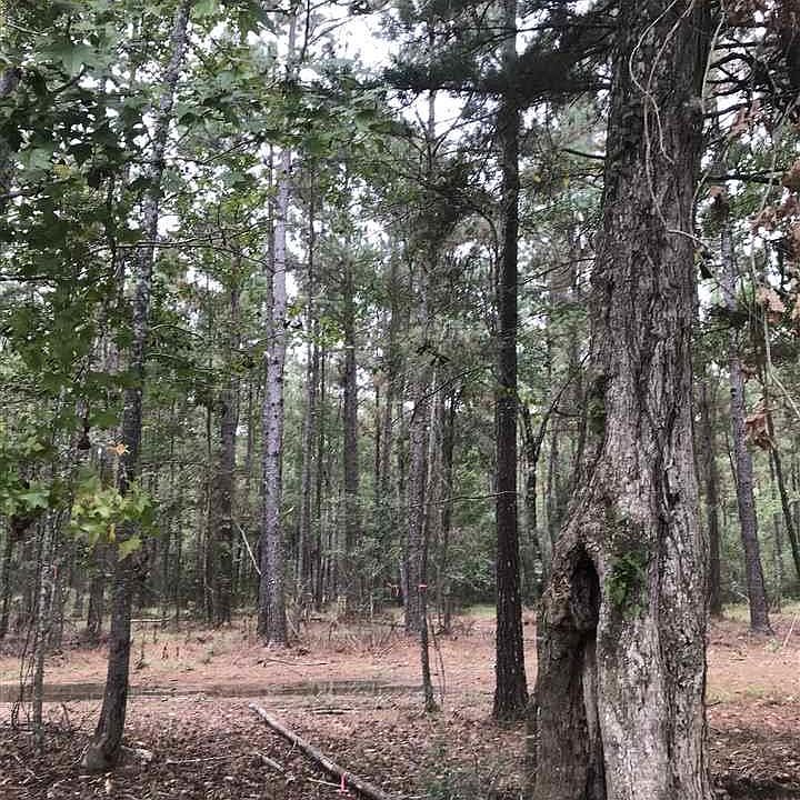 2nd image of LOT 4 Clyde Blount Rd