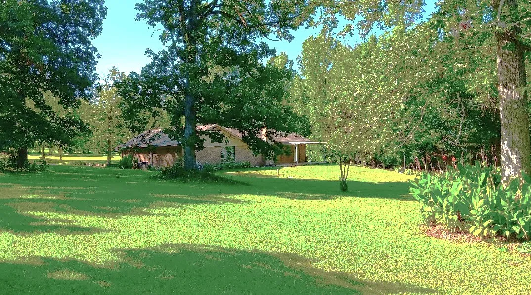 Plum Creek Rd, Longview — Photo 3