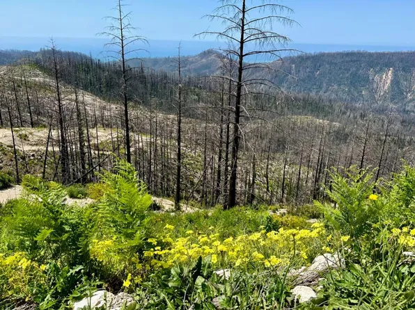 0 S Pine Mountain Rd, Davenport, CA 95017