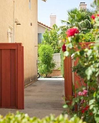 Backyard-1