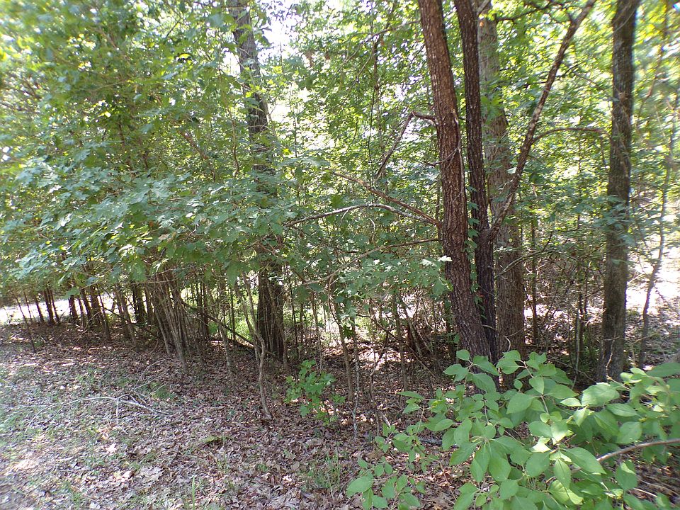 Actual Property Lot Photo