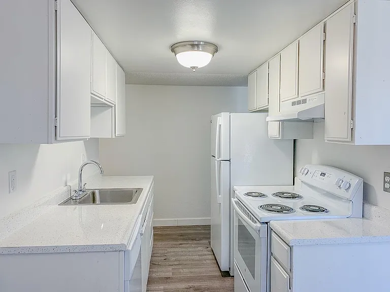The Palms Apartments — Photo 61