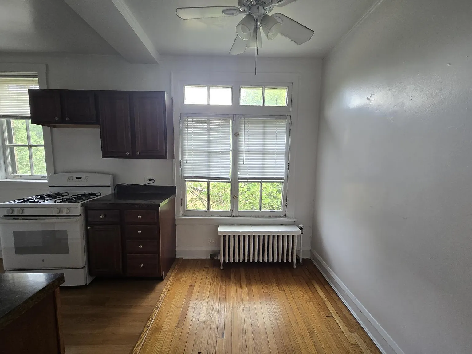 913 Elmwood Avenue #C3 — Photo 3