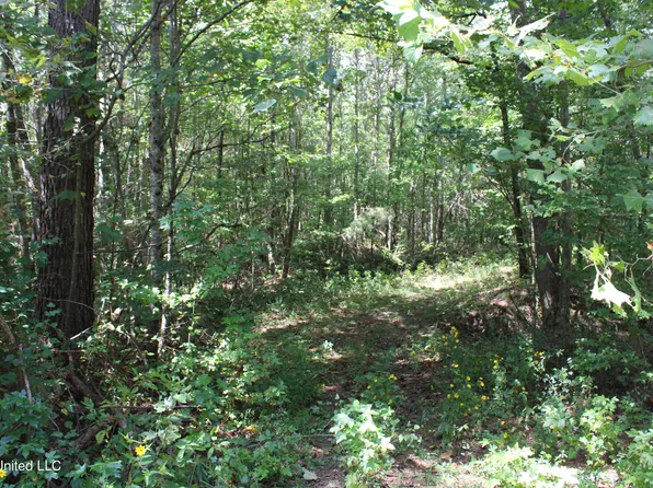 1198 S Red Banks Rd, Holly Springs, MS 38635