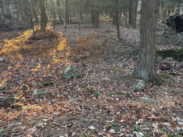 37 Beech Ln, Gouldsboro, PA 18424