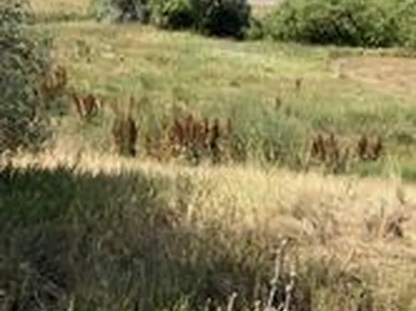 8328 S Carr Way LOT 27, Littleton, CO 80128