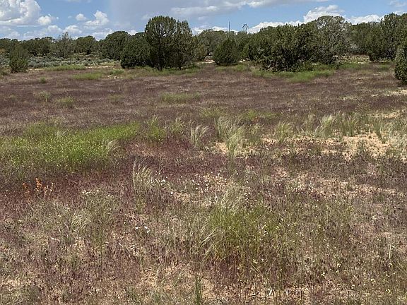 5th image of Lots 5 & 18 Cedar Valley Acres