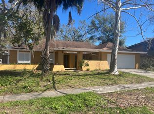 16707 Silver Moss Dr, Tampa, FL 33624