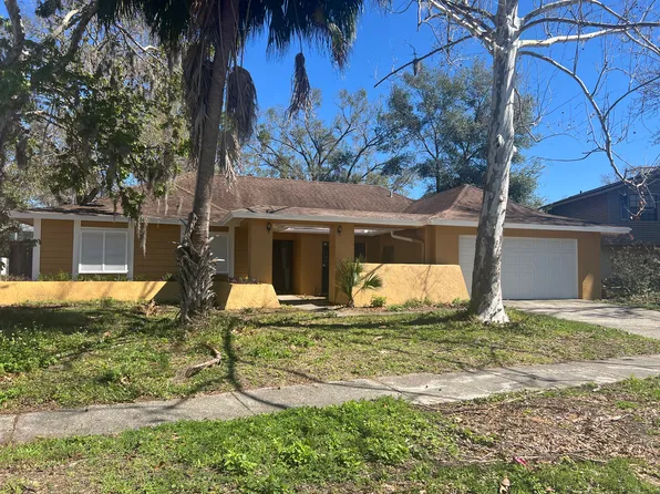 16707 Silver Moss Dr, Tampa, FL 33624