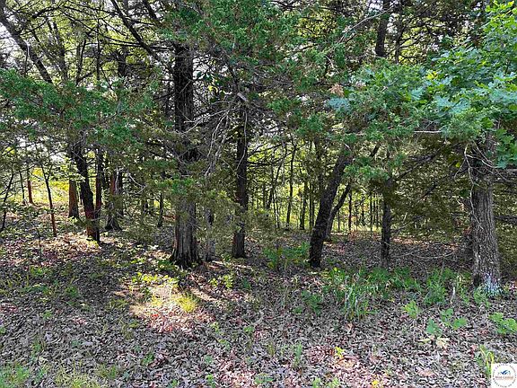 2nd image of Lots 38 & 39 Sassafras Dr