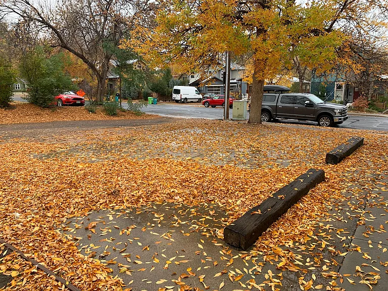 705 Maple St #A — Photo 3