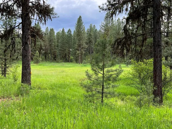 LOT 7 Timber Ridge Dr, New Meadows, ID 83654