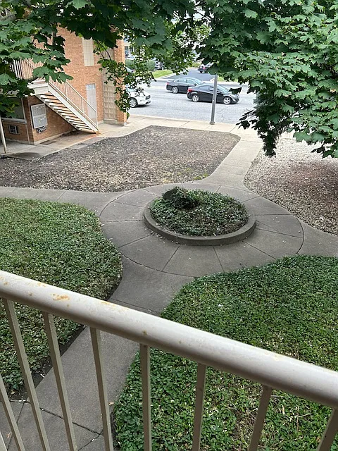 2 bed, 800 sqft, $1,650 — Photo 3