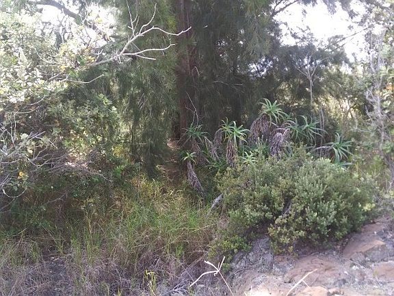 5th image of 92-8678 Reef Pkwy Lot 25