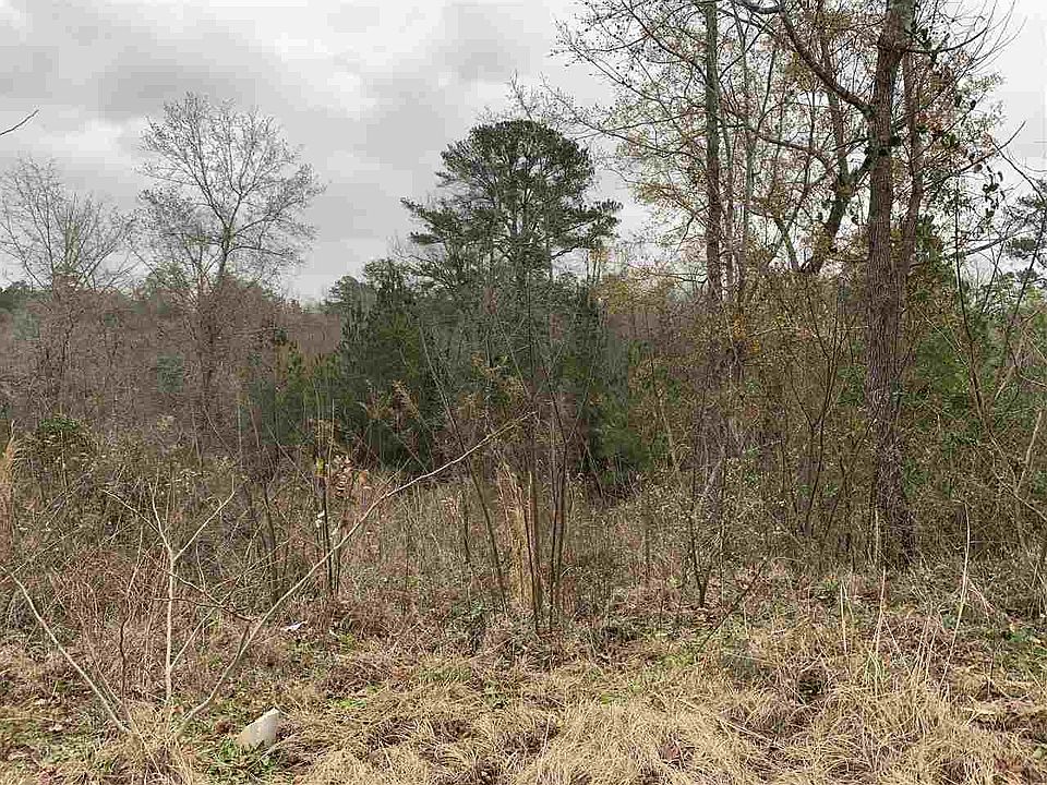 2nd image of 212 Morgan Ranch Cir