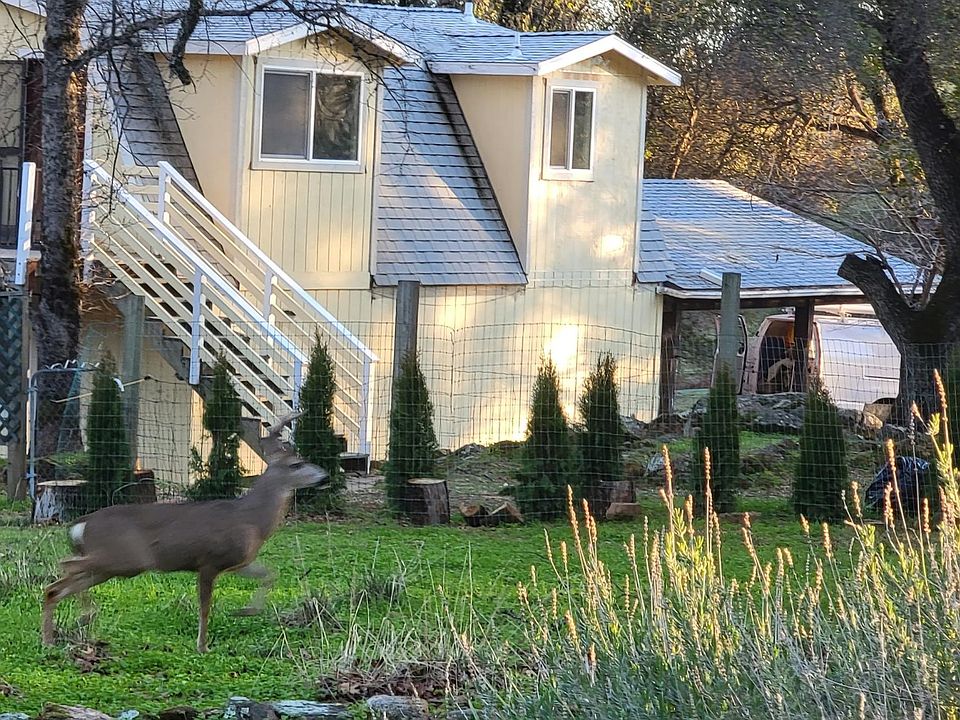 House Exterior with deer walking by