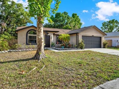 12017 Vermillion Way, Riverview, FL, 33569