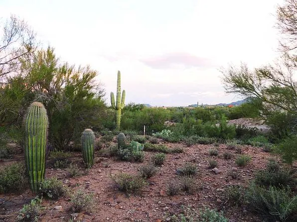 3461 N Harcan Mine Pl, Tucson, AZ 85745