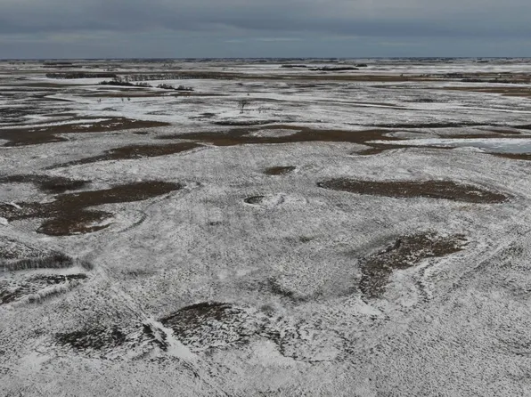 Land Auction Section 1 #151-58, Petersburg, ND 58272