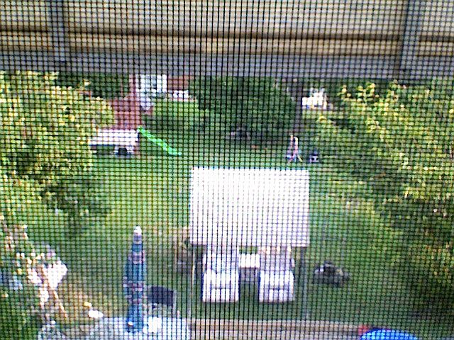 backyard (view from porch)