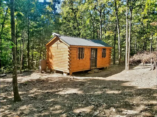 446 Dutchmans Hollow Ln, Mammoth Spring, AR 72554