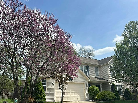 3rd image of 895 Seabreeze Dr