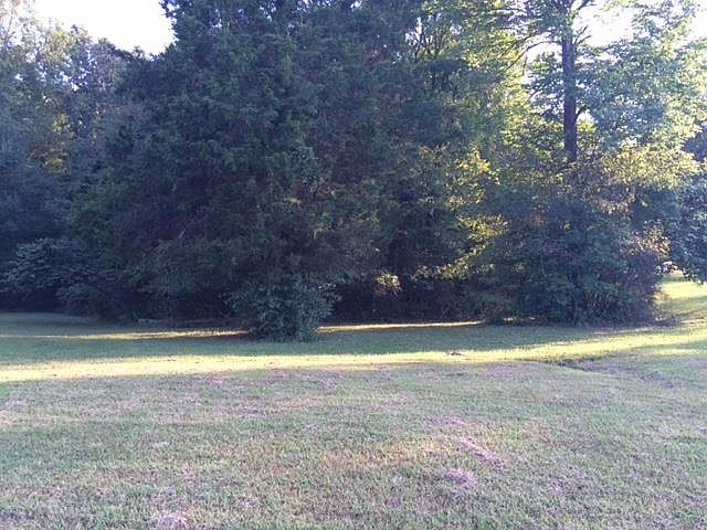 2nd image of 0 Matthews Ln