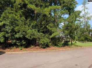 614 Golf Links Ct, Chapin, SC 29036