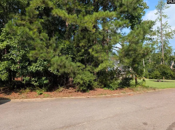 614 Golf Links Ct, Chapin, SC 29036